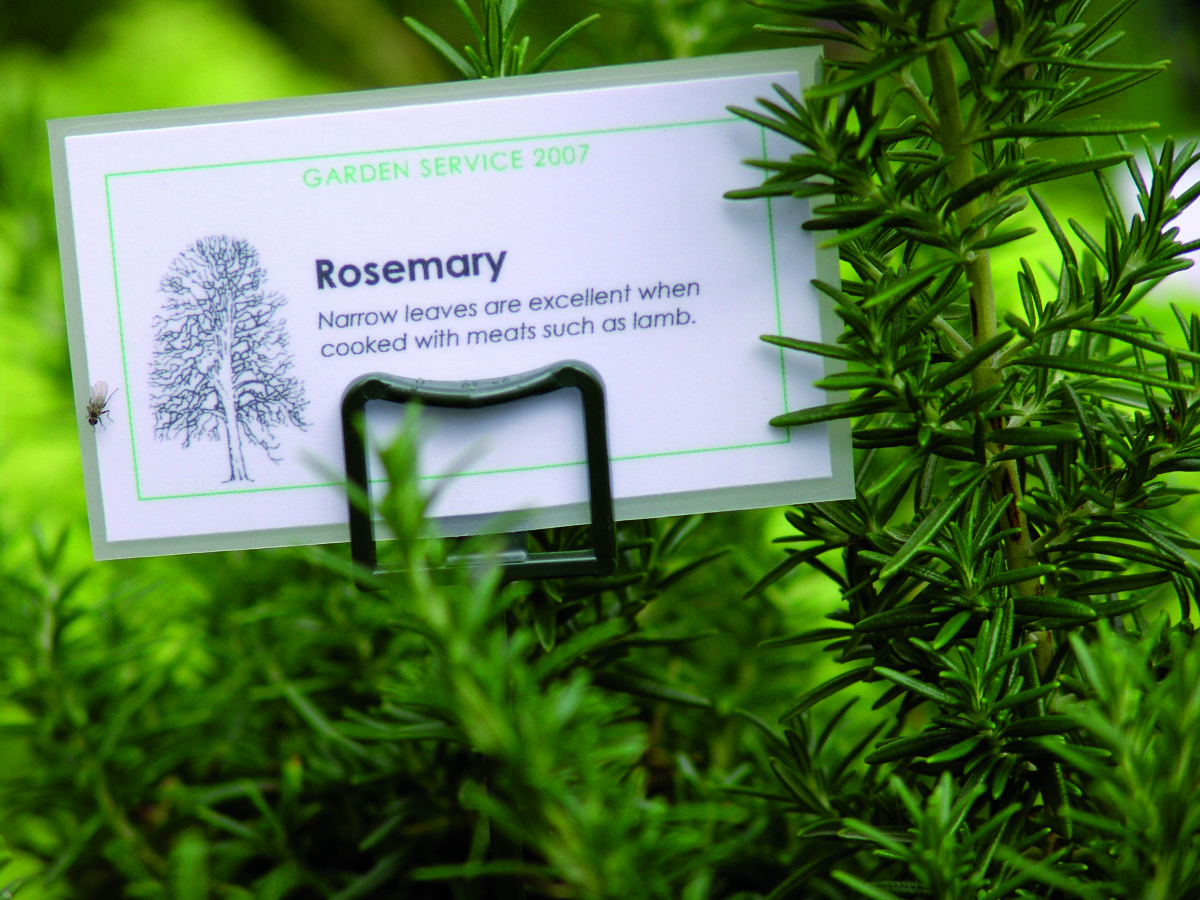 garden-service