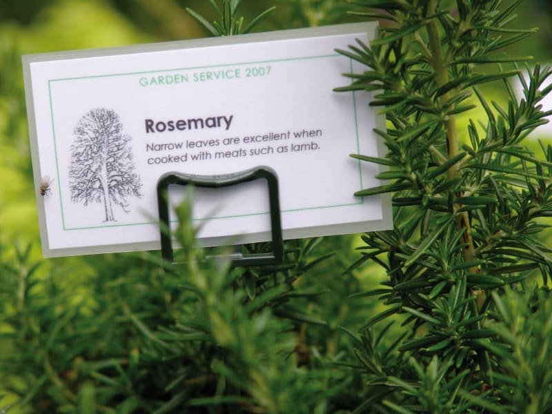 Garden Service