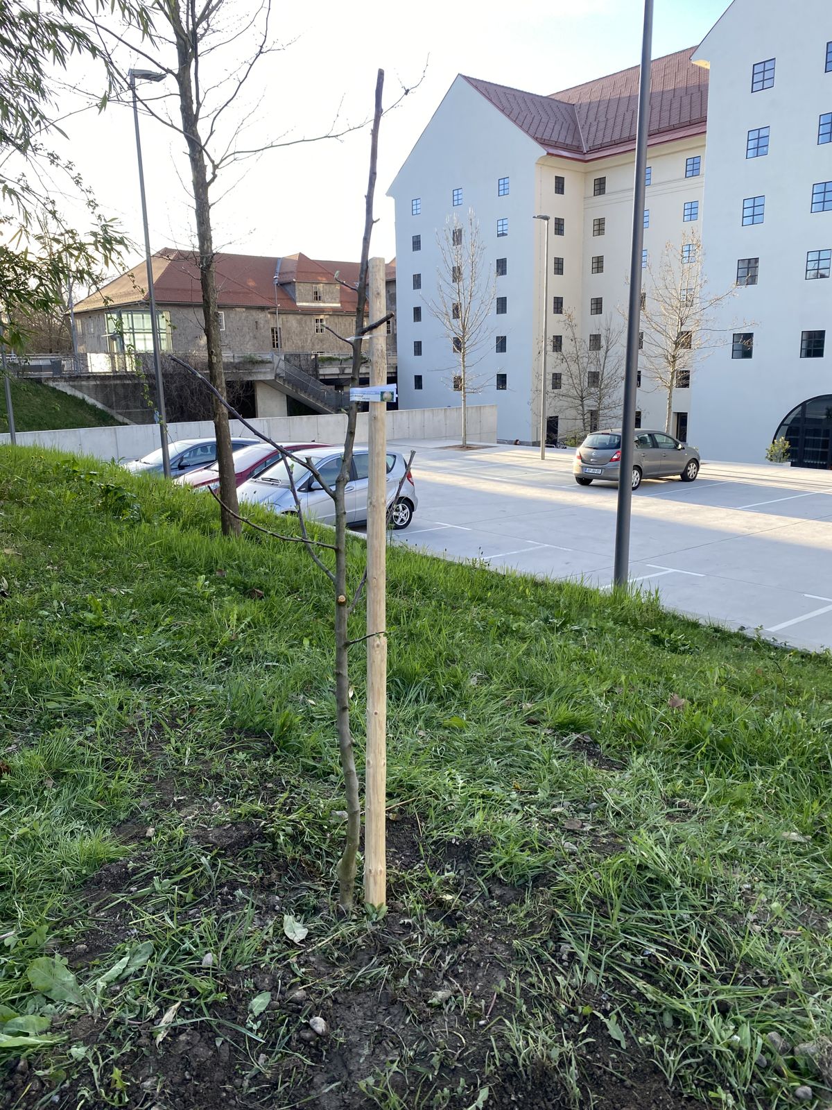 Neighbours & Citizens (growing network)