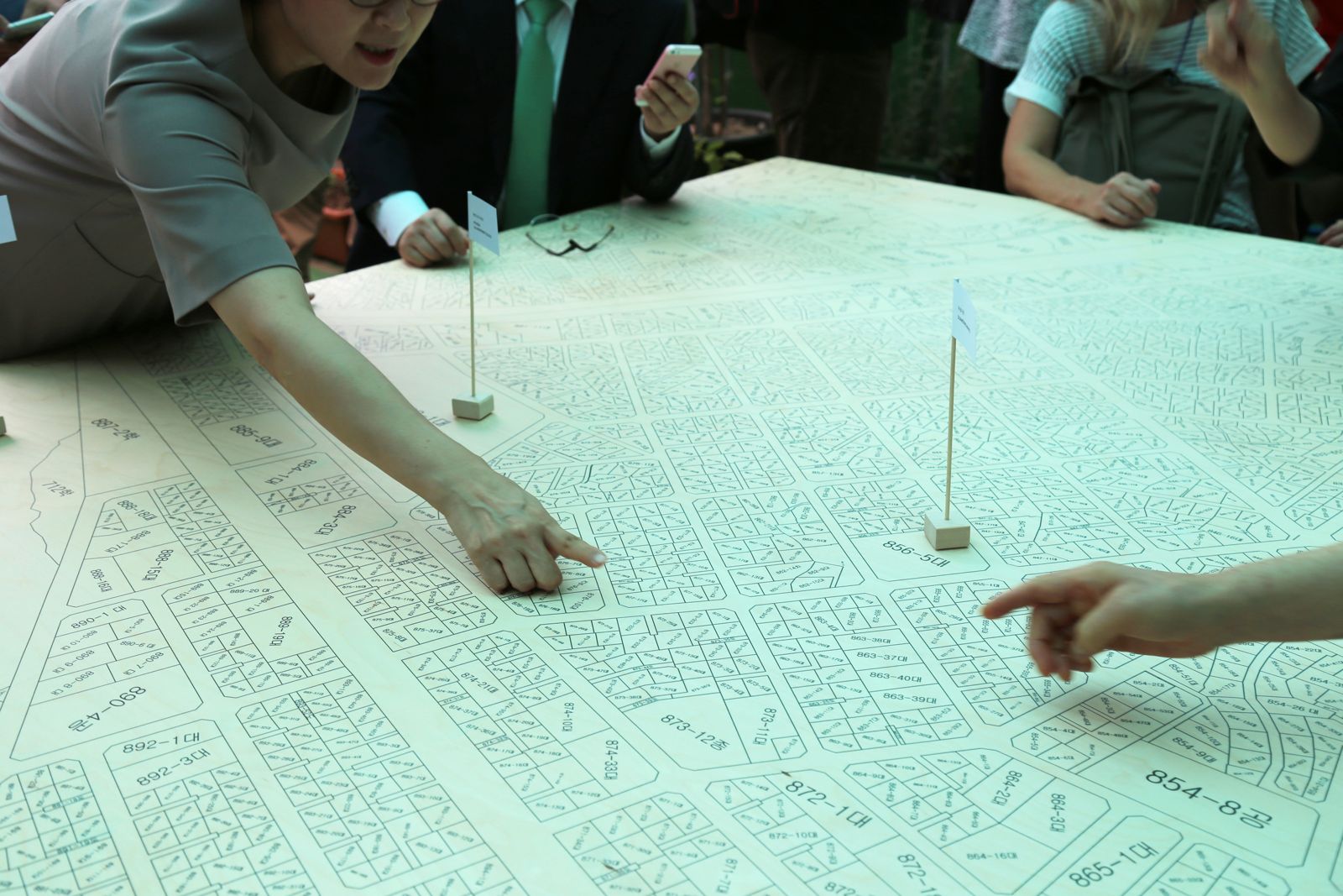 Master Plan for Duamdong